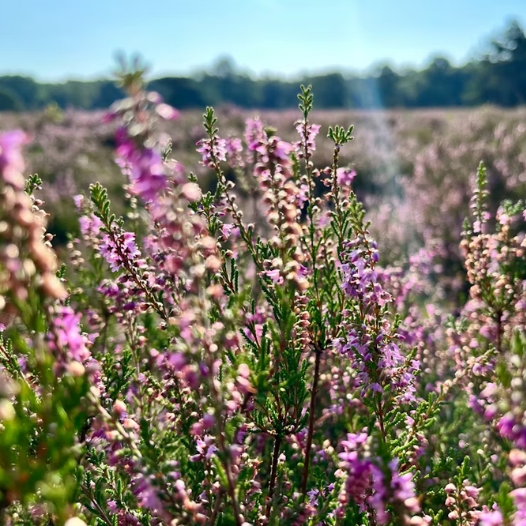 Chalet overdracht met duidelijke afspraken tussen koper en verkoper
