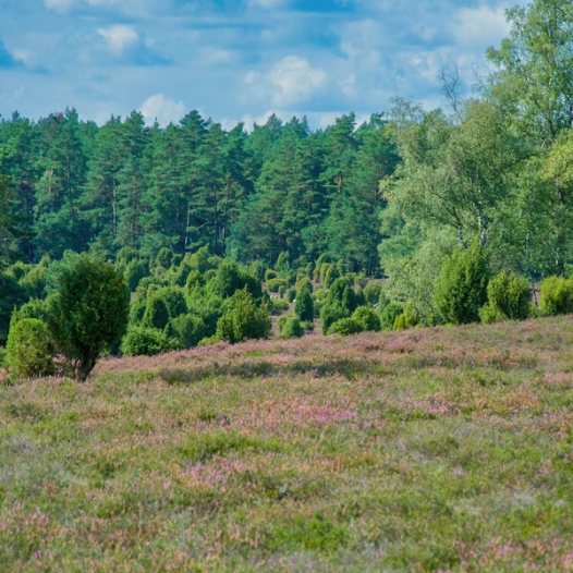 Bemiddeling chaletverkoop in Brabant