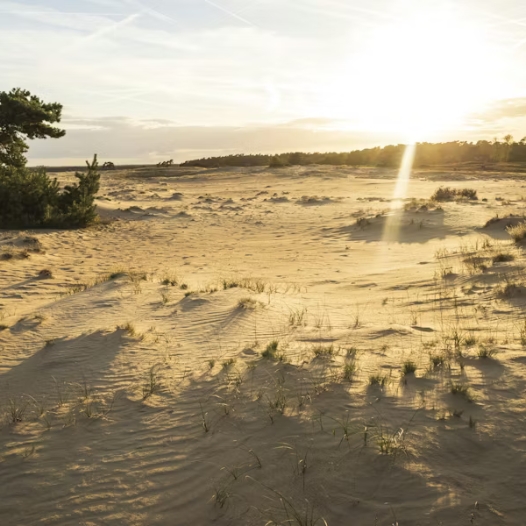 Bemiddeling chaletverkoop in Gelderland