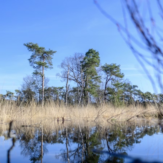 Bemiddeling chaletverkoop in Overijssel